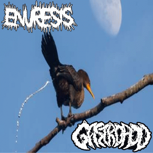 Gastropod : Enuresis - Gastropod